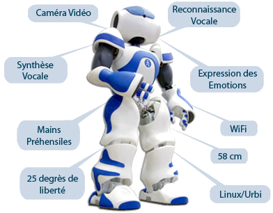 nao-robot-francais-presentation.png